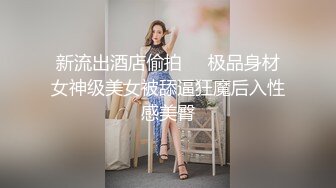 视频调教骚母狗