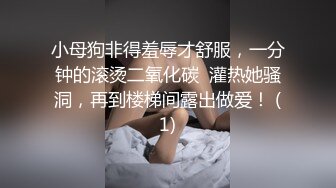 国产AV 蜜桃影像传媒 PMC144 硬屌强逼女大学生以性抵租 李慕