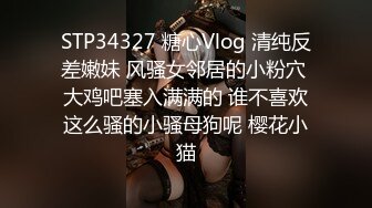 STP34327 糖心Vlog 清纯反差嫩妹 风骚女邻居的小粉穴 大鸡吧塞入满满的 谁不喜欢这么骚的小骚母狗呢 樱花小猫