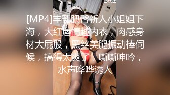 [MP4]丰乳肥臀新人小姐姐下海，大红唇情趣内衣，肉感身材大屁股，黑丝美腿振动棒伺候，搞得太爽了，嘶嘶呻吟，水声哗哗诱人