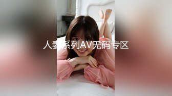 人妻系列AV无码专区