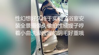 网友，女仆