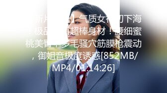 云盘高质露脸泄密❤️高颜值拜金气质美女导游甘愿做金主小三，各种日常性爱自拍，无套内射