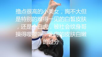 汤博乐知名网黄大UP主【虎皮花生】粉丝群内福利视图各种骚货母狗露出啪啪