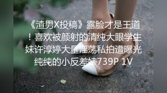 【三级】《美丽的图画》