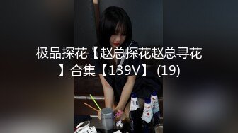 极品探花【赵总探花赵总寻花】合集【139V】 (19)