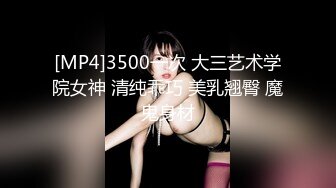 [MP4]3500一次 大三艺术学院女神 清纯乖巧 美乳翘臀 魔鬼身材