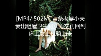 欧美厕所偷拍Pisswc系列合集【39V】 (21)