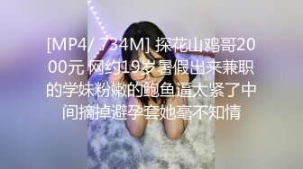 某房流出【商场女厕全景后拍】少妇 小姐姐 拉屎撒尿合集【296V】 (227)