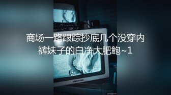 日本九十年代在厕沟下面安装闭路电视系统，为了看B付出的代价不小啊 二