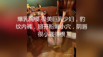 二个小母狗