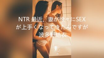 NTR 最近、妻が徐々にSEXが上手くなってきたんですが 波多野結衣