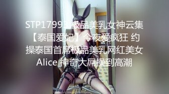 精东影业 jdya 016 丝袜癖屌丝男操翻女神 白允儿