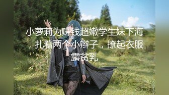 2024年2月，【重磅】约啪大神【狂射丝袜脚】完整版啪啪 空姐学妹人妻（上），内射狂魔