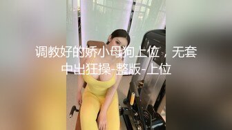 IDG5485 爱豆传媒 飢渴岳母上約炮平台賣春求操 林夢