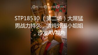 [MP4/ 3.38G]&nbsp;&nbsp;好久没播极品骚妹！3小时激情操逼！多毛骚逼骑乘位打桩，爽的声音多颤抖，开档黑丝后入