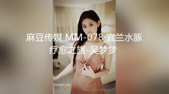 《极品女神福利》穷人女神富人母狗，推特实力调教大神【宝马】私拍全集，颜值身材气质天花板空姐白天服务客人晚上服务主人