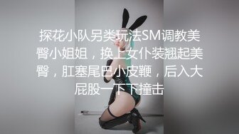 探花小队另类玩法SM调教美臀小姐姐，换上女仆装翘起美臀，肛塞尾巴小皮鞭，后入大屁股一下下撞击