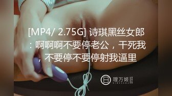 巨乳姐姐合集