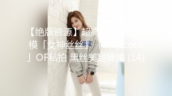 【绝版资源】超高气质华人腿模「女神丝丝」「sexy.coco」OF私拍 黑丝美腿蜂腰 (14)