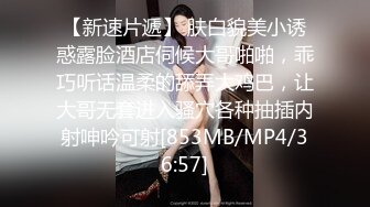 高能預警！比女人還女人極品網紅CDTS【sehe】私拍，能攻能守3P4P真男假女混亂性交人體蜈蚣，相當淫亂視覺盛宴 (3)