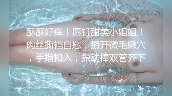 精品无码在线观看动漫