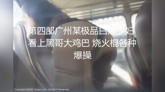 兔子先生 TZ-068 湿身情人夜 有情人终成眷属 绫波丽