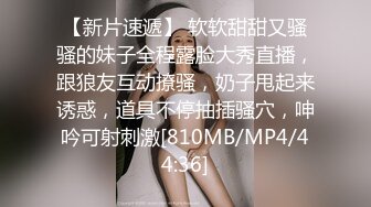 湖南某校性感漂亮的美女大学生和男友激情啪啪私拍分手后流出,外表清纯床上那么淫骚,操的呻吟浪叫!