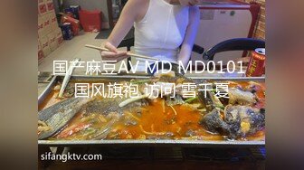 国产麻豆AV MD MD0101 国风旗袍 访问 雪千夏