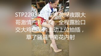 STP22038 渣女来袭深夜跟大哥激情户外车震，全程露脸口交大鸡巴车内主动上位抽插，草了骚逼干菊花内射