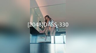 [2048]DASS-330