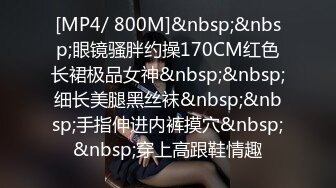 [MP4/ 800M]&nbsp;&nbsp;眼镜骚胖约操170CM红色长裙极品女神&nbsp;&nbsp;细长美腿黑丝袜&nbsp;&nbsp;手指伸进内裤摸穴&nbsp;&nbsp;穿上高跟鞋情趣