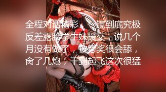 《云盘高质露脸泄密》国语对话，东北淫荡饥渴人妻美少妇真实约啪被个很会打炮的肥猪仔肏，频率低但有力下下到底尖叫 (3)