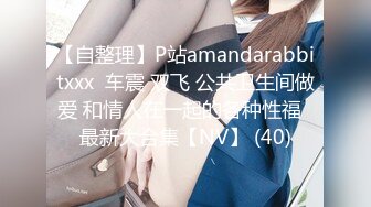 【自整理】P站amandarabbitxxx  车震 双飞 公共卫生间做爱 和情人在一起的各种性福  最新大合集【NV】 (40)