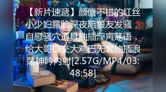 《绝版重磅》被_封已退_圈！推_特40万粉摄影大咖【露T社】绝顶作品，各种美模小姐姐