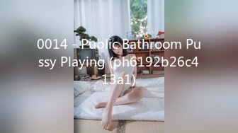 0014 - Public Bathroom Pussy Playing (ph6192b26c413a1)